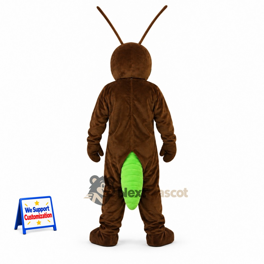 Grasshopper Mascot Costume - Green for School Events Grasshopper Mascot Costume - Green for School Events
