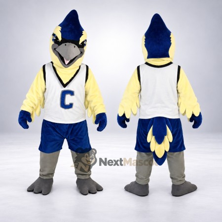 Blue Jay Mascot Costume - Letterman Jacket Blue Jay Mascot Costume - Letterman Jacket