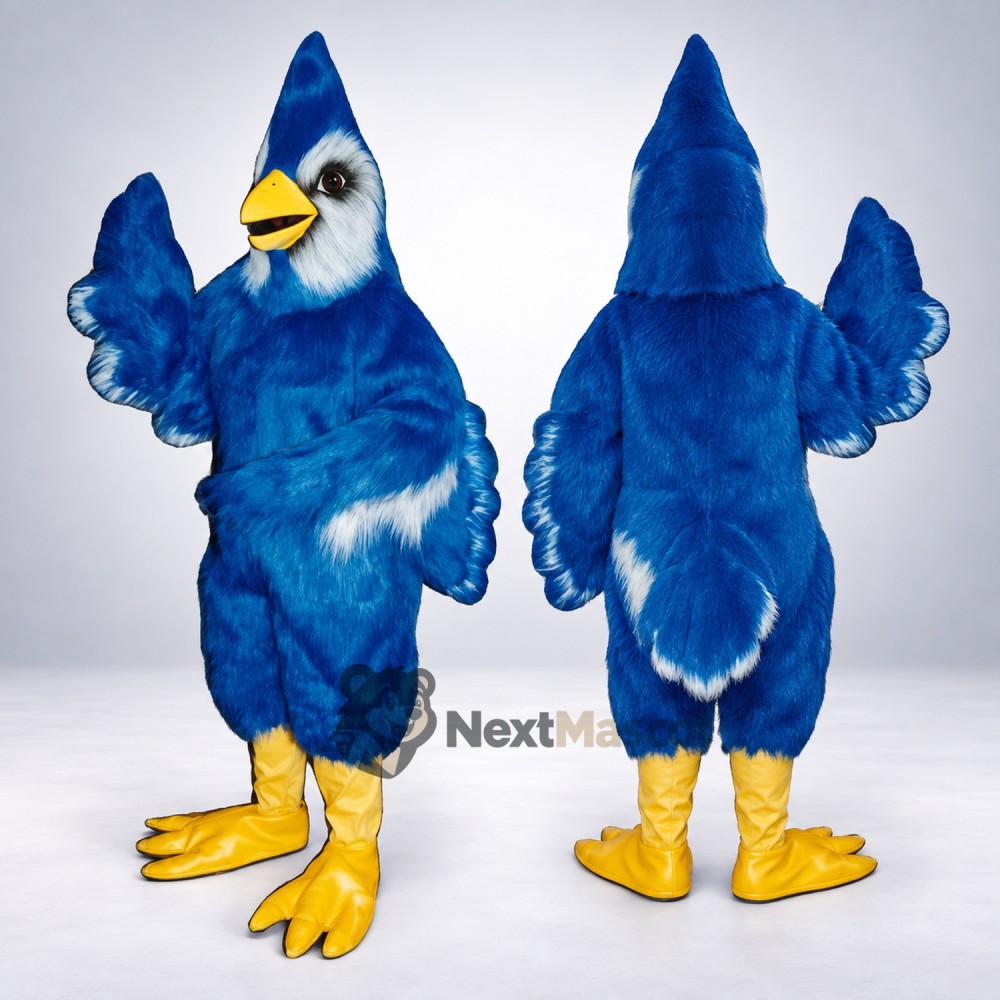 Blue Jay Mascot Costume for Community Events Blue Jay Mascot Costume for Community Events