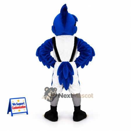Blue Jay Mascot Costume for Fundraisers Blue Jay Mascot Costume for Fundraisers