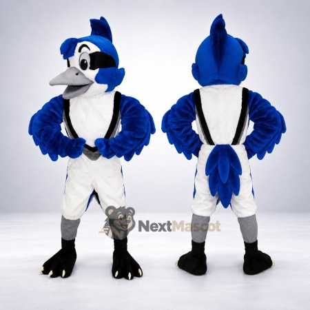 Blue Jay Mascot Costume for Fundraisers Blue Jay Mascot Costume for Fundraisers