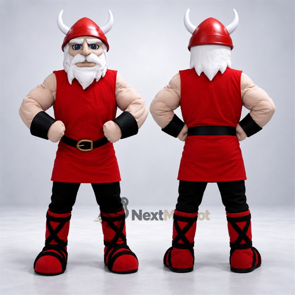 Viking Mascot Costume for School Events Viking Mascot Costume for School Events