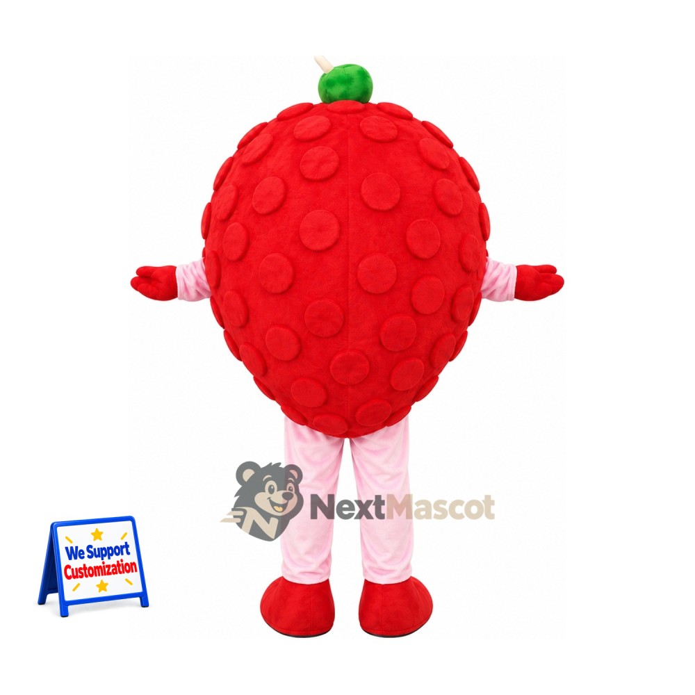 Lychee Mascot Costume Lychee Mascot Costume