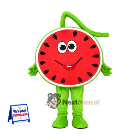 Watermelon Slice Mascot Costume for Food Festivals Watermelon Slice Mascot Costume for Food Festivals