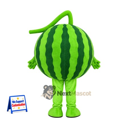 Watermelon Slice Mascot Costume for Food Festivals Watermelon Slice Mascot Costume for Food Festivals