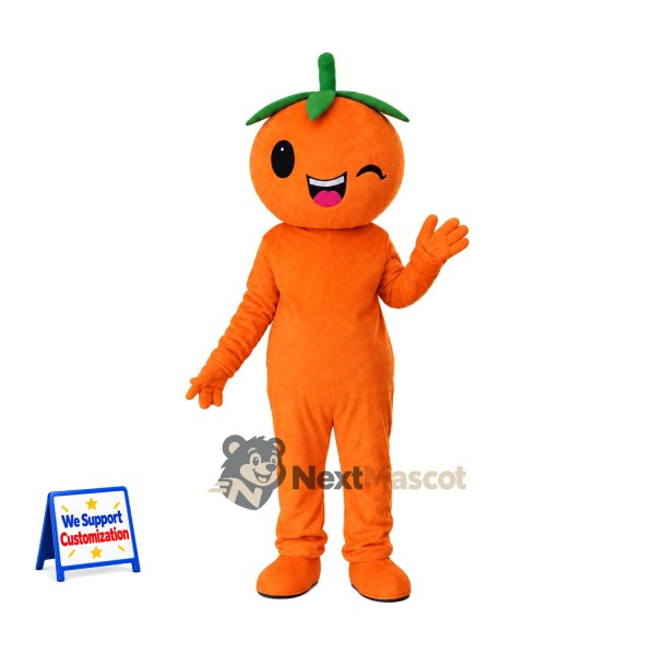 Orange Head Character Mascot Costume