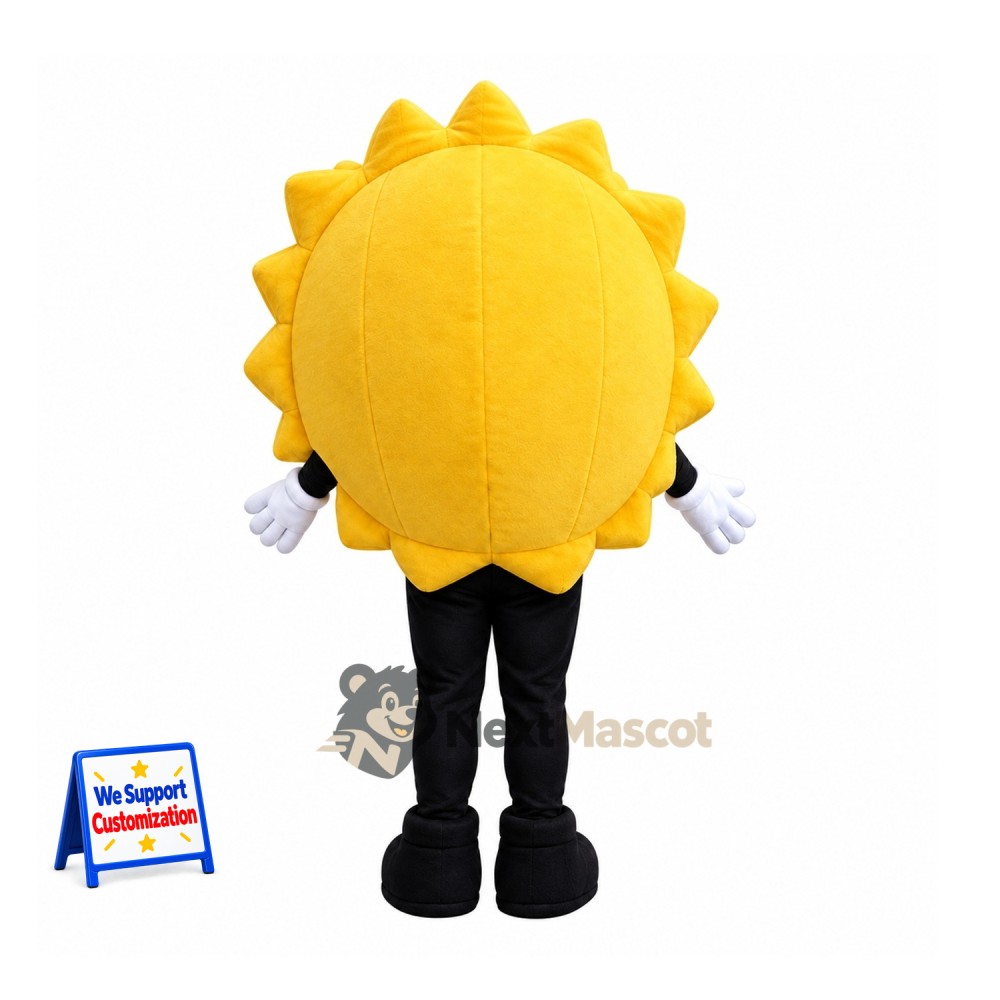 Sun Mascot Costume - Sunglasses for Photo Events Sun Mascot Costume - Sunglasses for Photo Events
