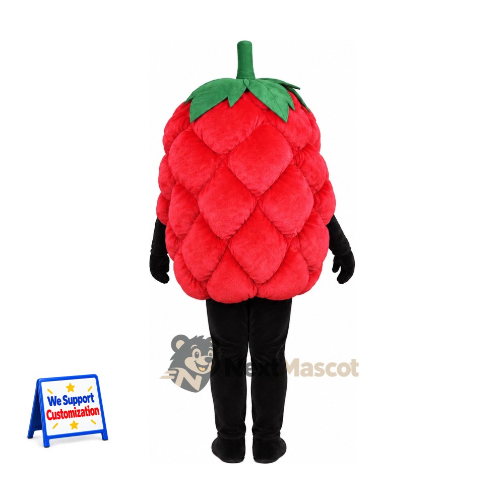 Raspberry Mascot Costume Raspberry Mascot Costume