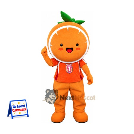 Orange Slice Head Character Mascot Costume